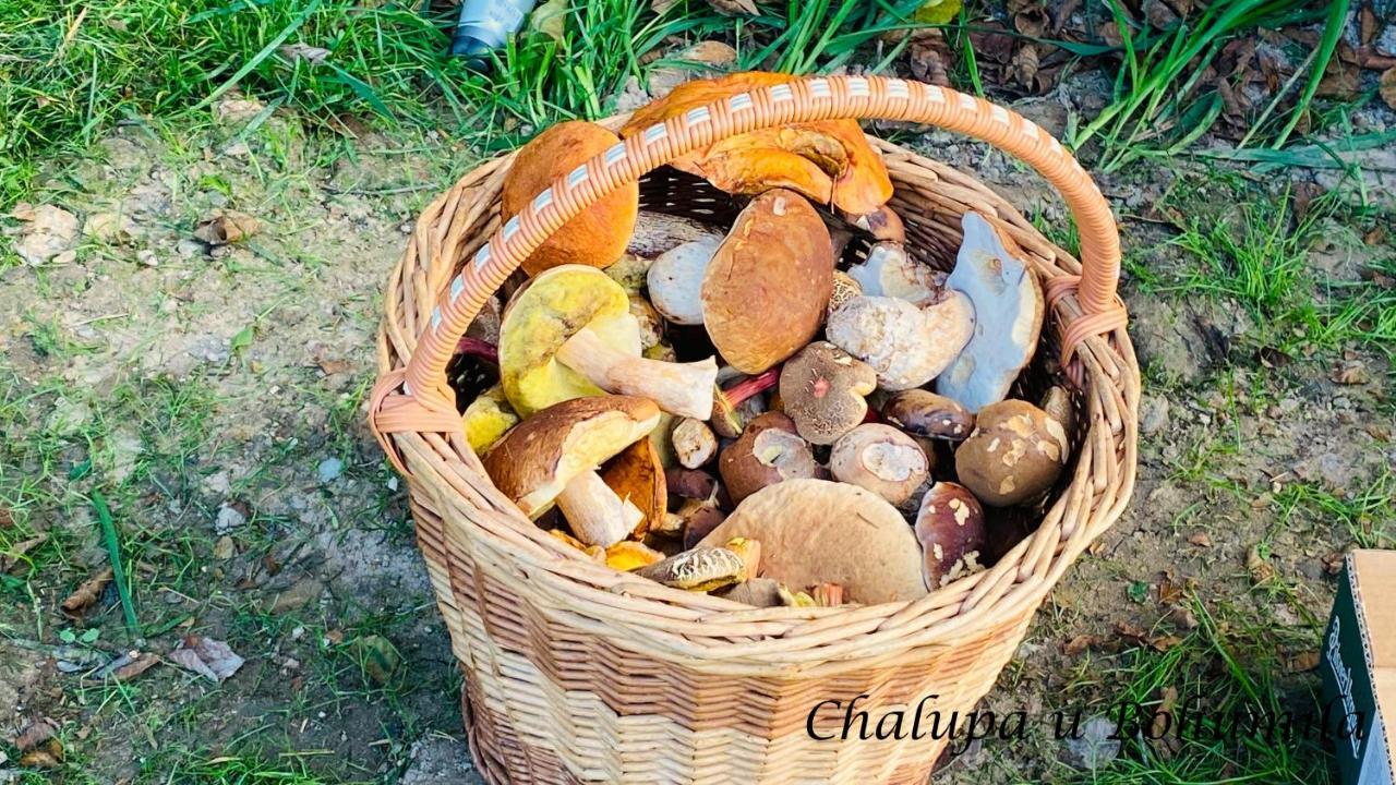 Chalupa U Bohumila Rybna nad Zdobnici Экстерьер фото