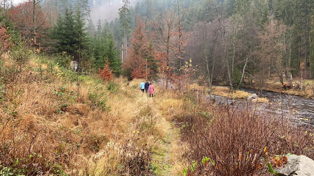 Chalupa U Bohumila Rybna nad Zdobnici Экстерьер фото